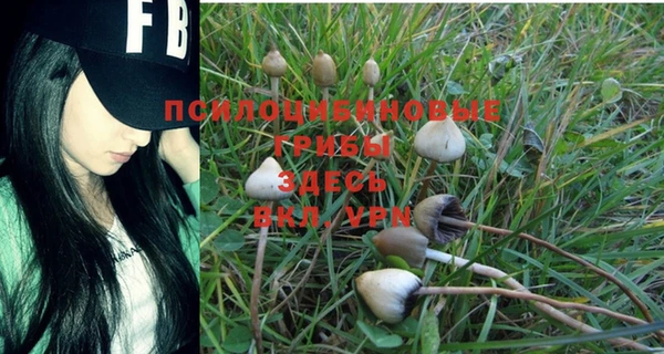 MDMA Белокуриха